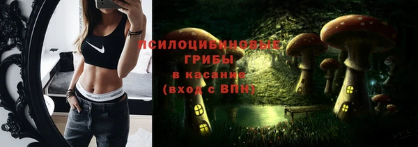 крисы Арсеньев