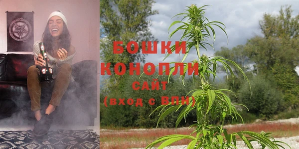 крисы Арсеньев