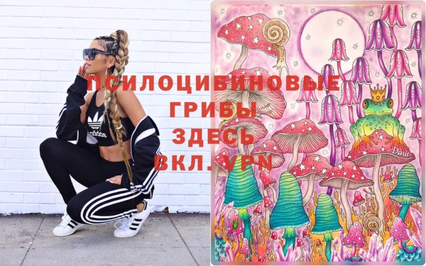 MDMA Premium VHQ Армянск
