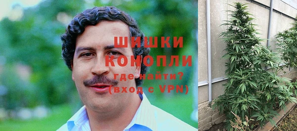 крисы Арсеньев