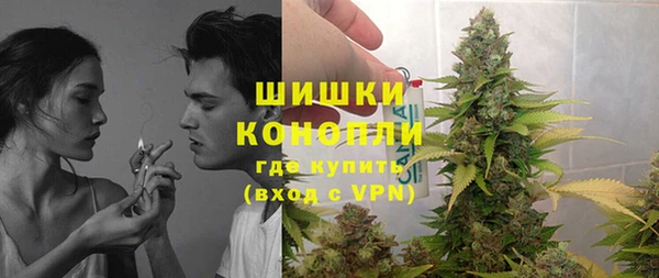 стаф Новозыбков